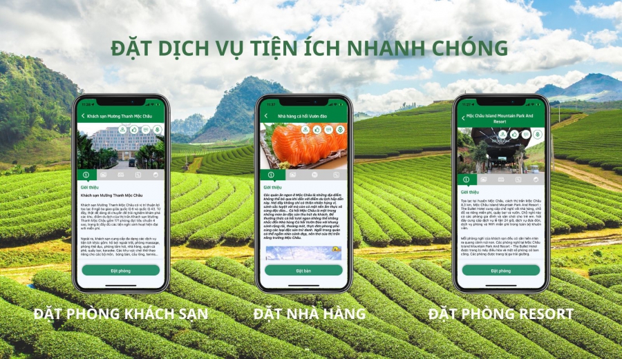 Đặt chj vụ trực tuyến nhanh gọn tiện lợi